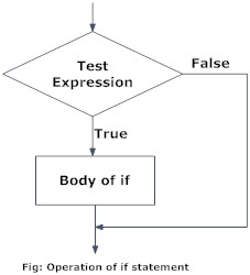 Branching in C programming using if statement