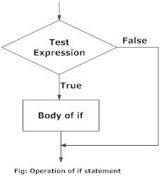 C Program Using While Statement