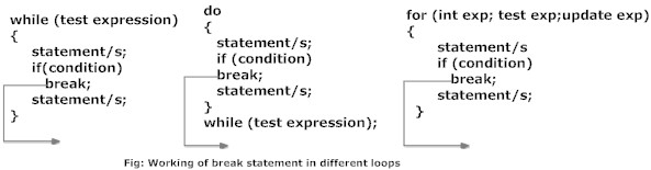 working of break statement in C programming in for, while and do...while loops