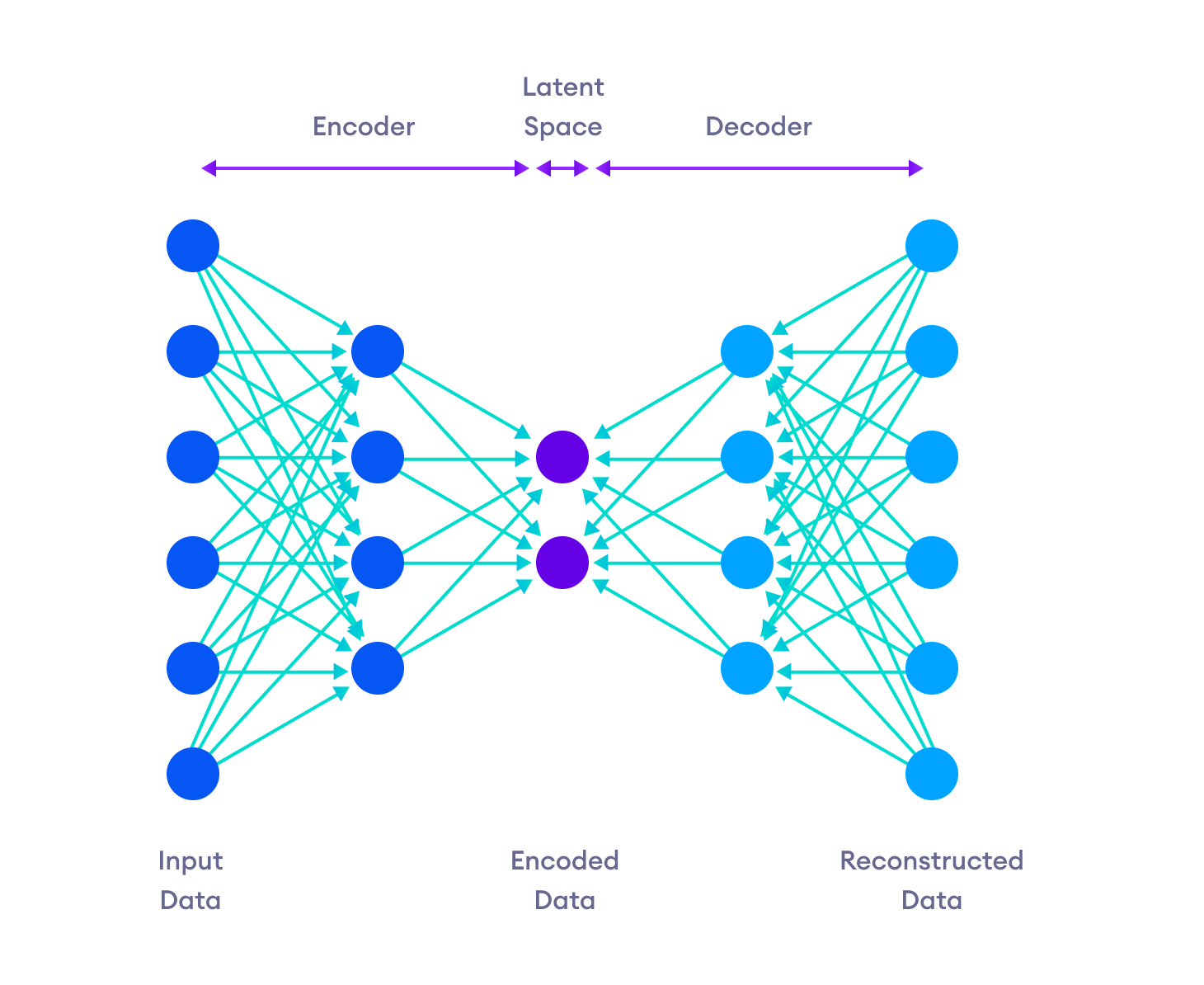 Neural Network Architecture of Autoencoders