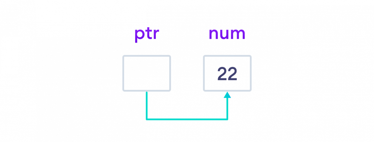 The address of a regular variable is assigned to the pointer variable