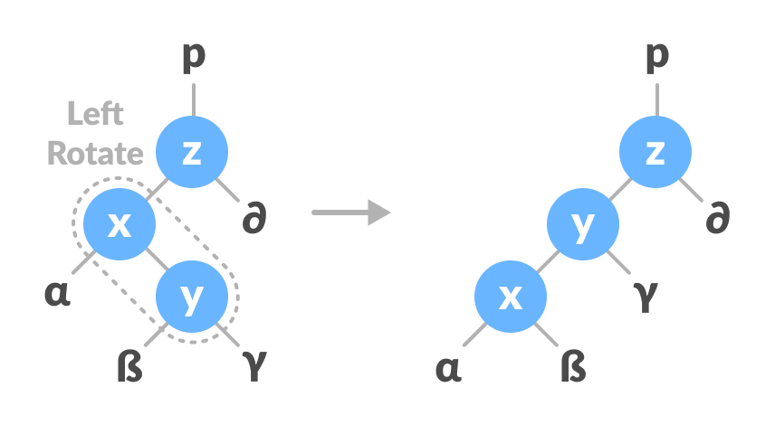 left-right rotate