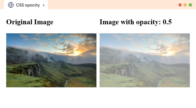 CSS Opacity With Examples 