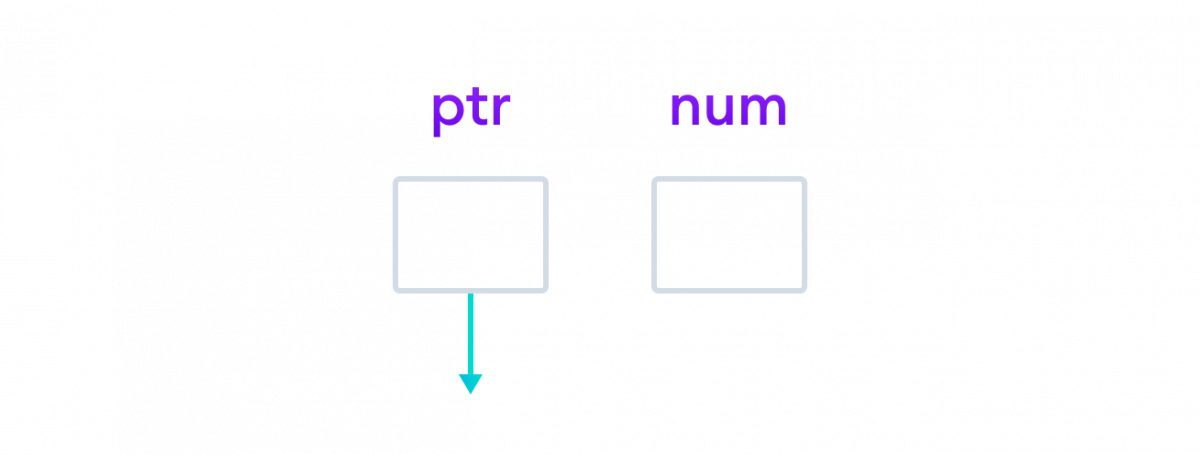 The pointer variable and normal variable are declared
