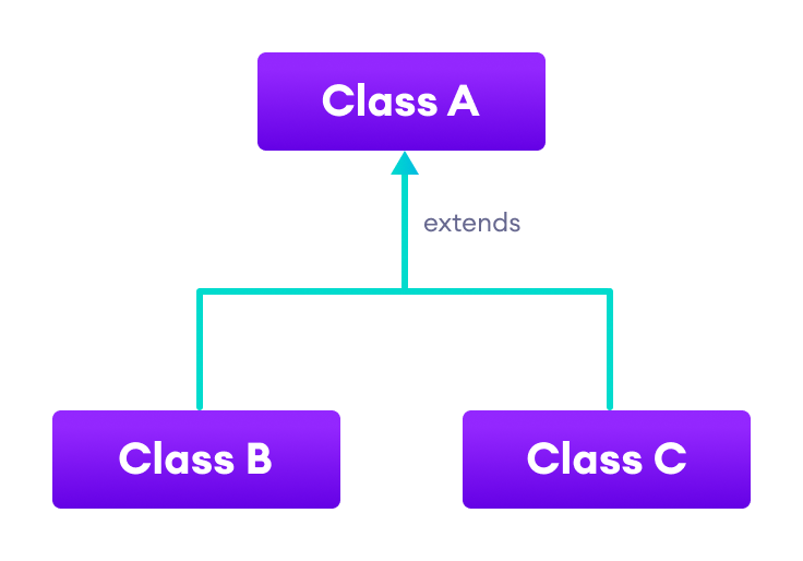 Both classes B and C inherit from the single class A.