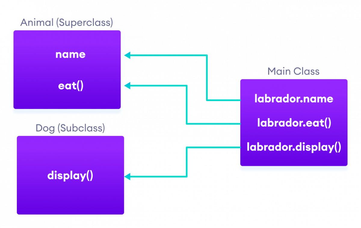 Subclass Dog can access the field and method of the superclass Animal.