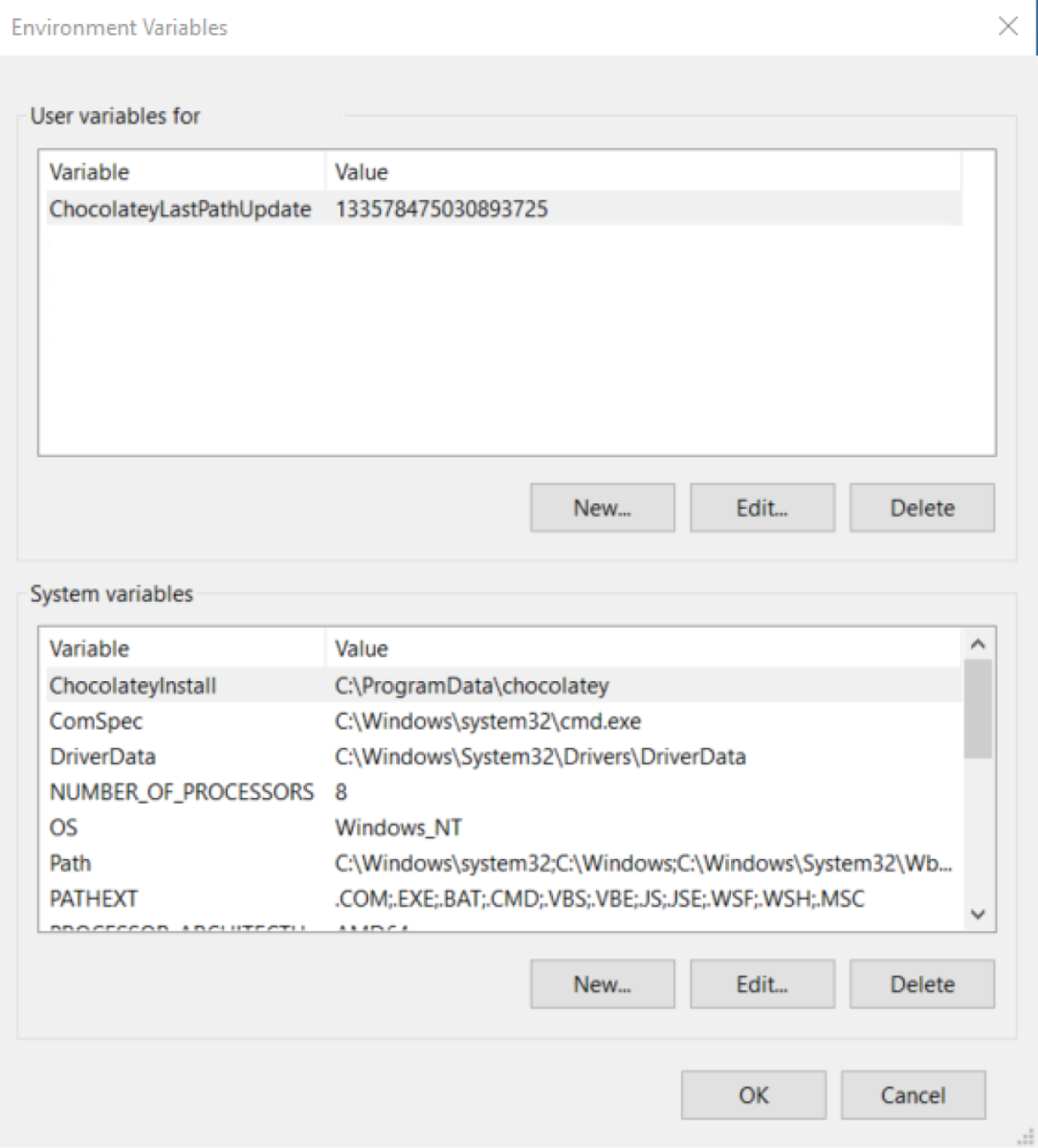 C Setting Environment Variables